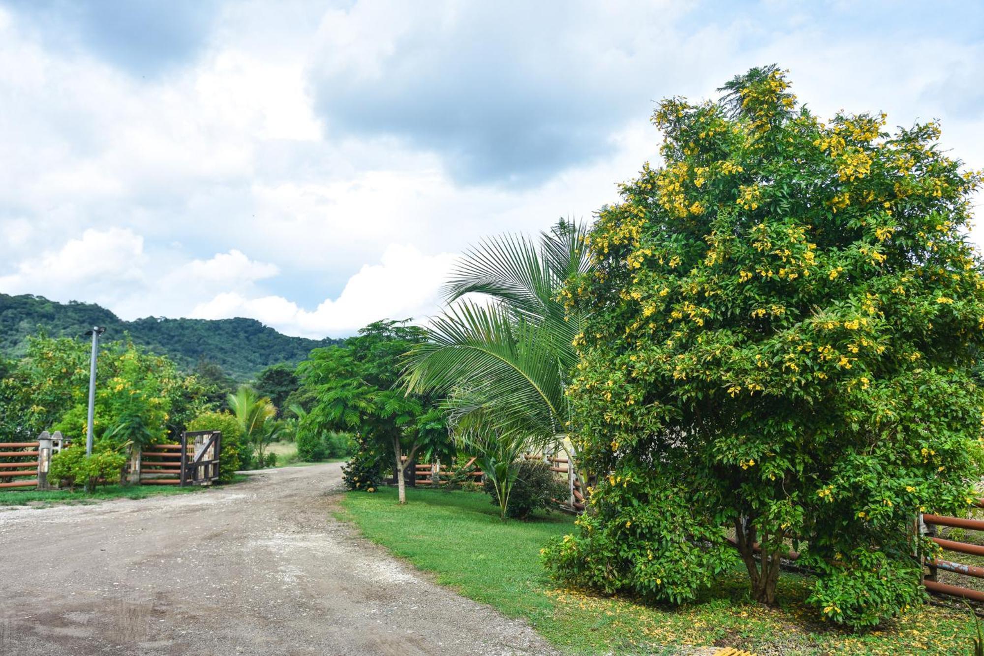 Carmona Casa Cora Bed And Breakfast المظهر الخارجي الصورة