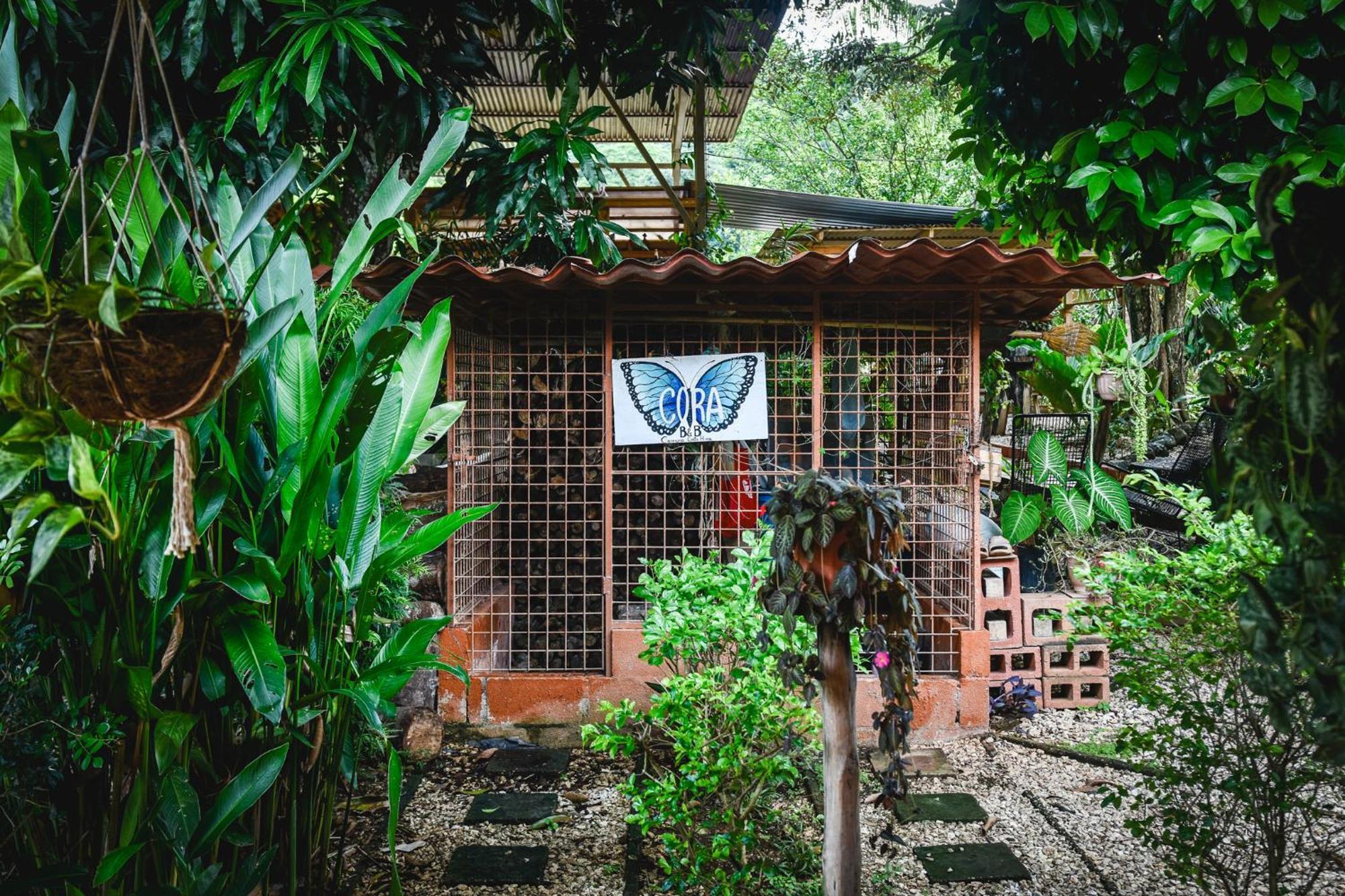 Carmona Casa Cora Bed And Breakfast المظهر الخارجي الصورة