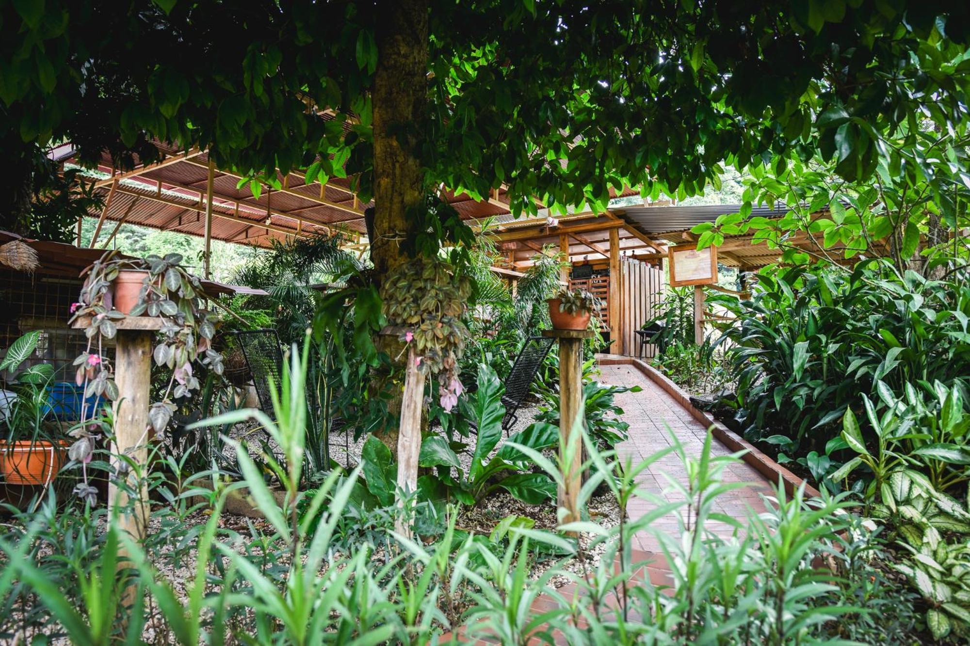Carmona Casa Cora Bed And Breakfast المظهر الخارجي الصورة